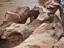 photo thumbnail #3