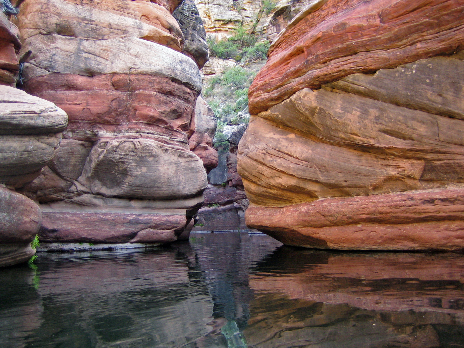 Beaver Ruin Trail