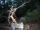 photo thumbnail #8
