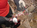 photo thumbnail #11