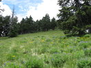 photo thumbnail #10