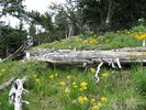 photo thumbnail #11