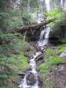 photo thumbnail #9