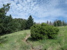 photo thumbnail #5