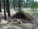 photo thumbnail #10