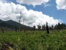 photo thumbnail #6