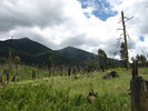 photo thumbnail #9