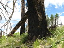 photo thumbnail #12
