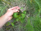 photo thumbnail #13