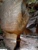 photo thumbnail #13