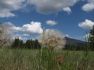photo thumbnail #2