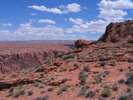 photo thumbnail #11