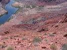 photo thumbnail #15