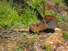 photo thumbnail #3