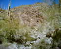 photo thumbnail #7
