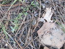photo thumbnail #13