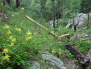 photo thumbnail #1