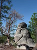 photo thumbnail #14