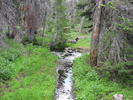 photo thumbnail #2