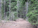 photo thumbnail #3