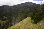 photo thumbnail #6