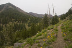 photo thumbnail #11