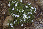 Featured Detail Photo