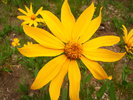 photo thumbnail #13