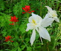 photo thumbnail #15