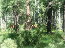 photo thumbnail #1