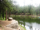 photo thumbnail #3