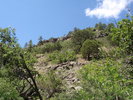 photo thumbnail #2