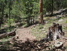 photo thumbnail #3