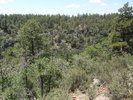 photo thumbnail #7