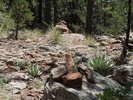 photo thumbnail #8