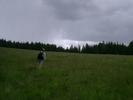 photo thumbnail #8