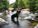 photo thumbnail #2