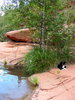 photo thumbnail #6