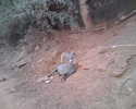 photo thumbnail #3