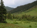 recent photo