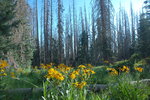 photo thumbnail #4