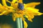 photo thumbnail #6