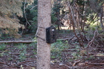 photo thumbnail #8