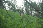 photo thumbnail #10