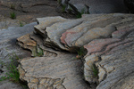 photo thumbnail #15