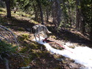 photo thumbnail #7