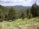 photo thumbnail #11