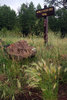 photo thumbnail #2