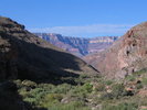 photo thumbnail #11