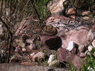 photo thumbnail #12